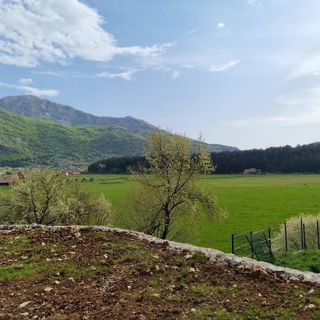 Ferienwohnung Porto Njegusi A2 Cetinje Exterior foto
