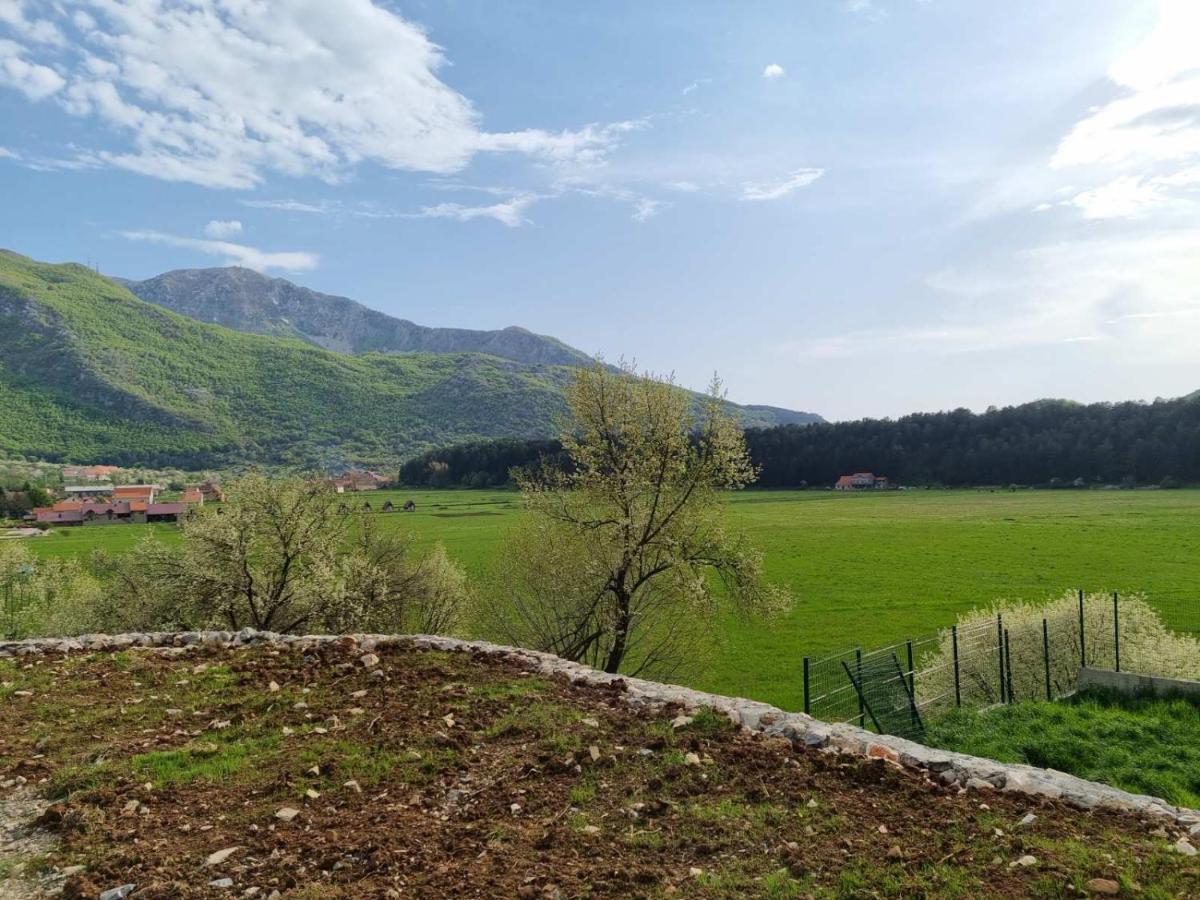 Ferienwohnung Porto Njegusi A2 Cetinje Exterior foto